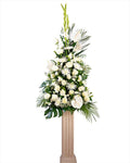 Columna Scala Blanca