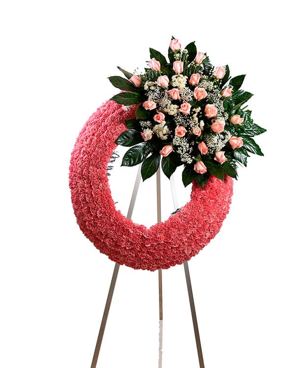 Corona Chroma Rosa