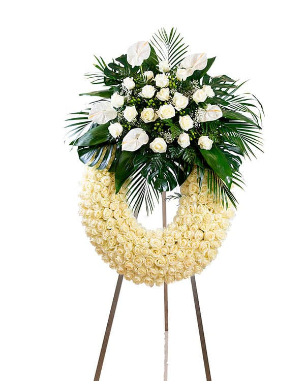 Corona Harmony Blanca