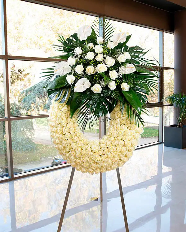 Corona Harmony Blanca